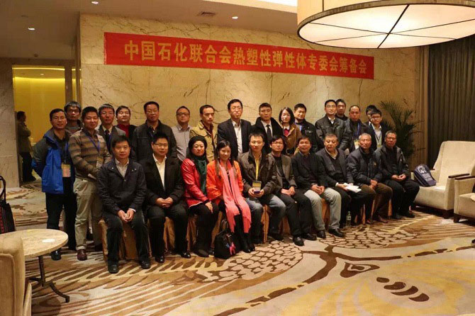 晨美顏料色母?？偨?jīng)理劉秋珍參與中國(guó)石化聯(lián)合會(huì)熱塑性彈性體委員會(huì)籌備會(huì)